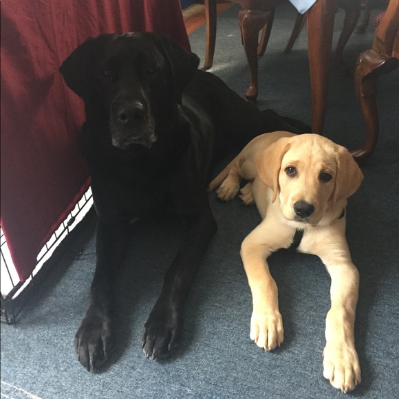 TOP RATED SELLER😀😀 - Picture 2 of 2