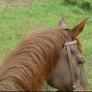 Meet your Posher, Teri