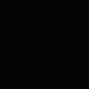 Meet your Posher, Maya