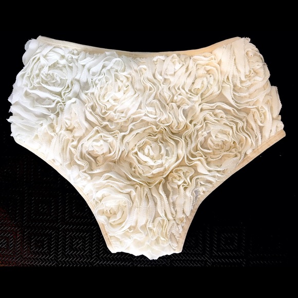 American Apparel Rosette High Waisted Panties - Picture 2 of 3