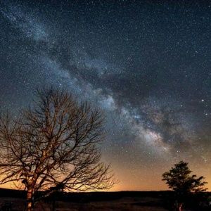 Meet your Posher, Bethany