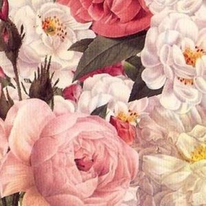 Meet your Posher, Molly