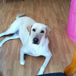 Meet your Posher, Hailey