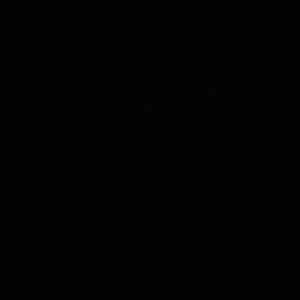 Meet your Posher, Shona