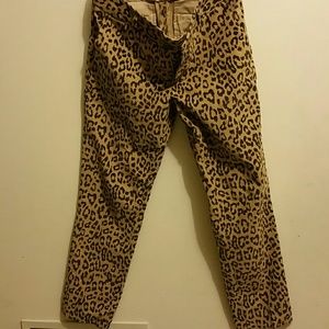 banana republic camden pant