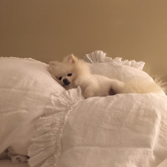 Meet your Posher, Danielle - Picture 4 of 4