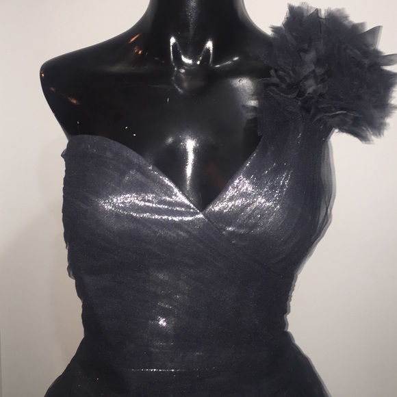 New w/Tags BCBG MaxAzria Dress size 10