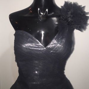 New w/Tags BCBG MaxAzria Dress size 10