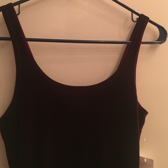 Velvet Maroon Dress - Picture 3 of 3