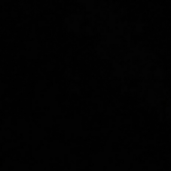 Meet your Posher, Araceli