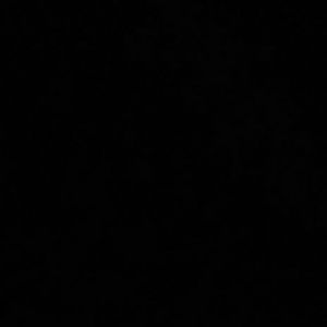 Meet your Posher, Araceli