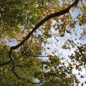 Meet your Posher, Leigh