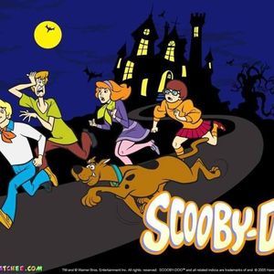 Meet your Posher, Brandi