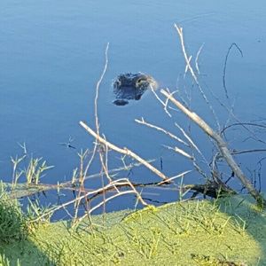 Meet your Posher, Marcie