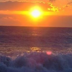 Meet your Posher, Chrissy