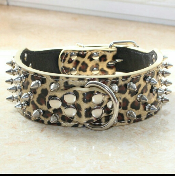 Golden Leopard Leather Spiked Dog Collar