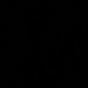 Meet your Posher, Anne