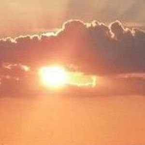 Meet your Posher, Jodie