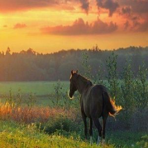 Meet your Posher, Ruth