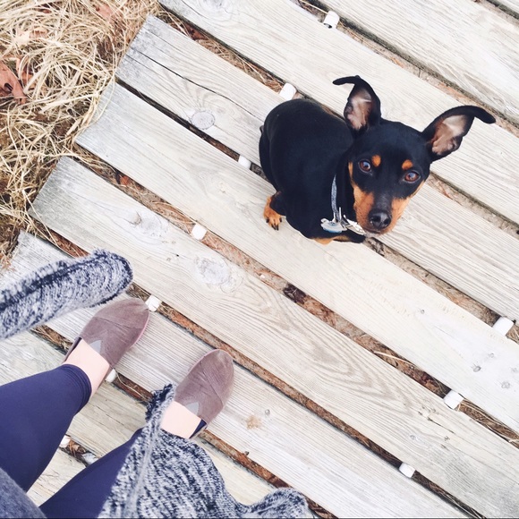 Comments Full: Find New Listing - Picture 4 of 4