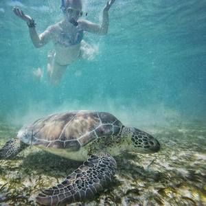 Meet your Posher, Chelsea