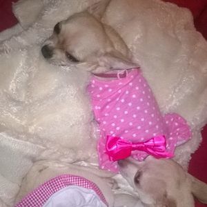 Meet your Posher, Debra