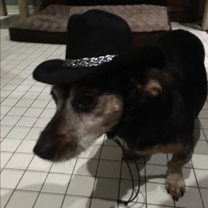 Meet your Posher, Catherine