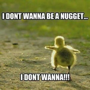 Meet your Posher, Cynthia