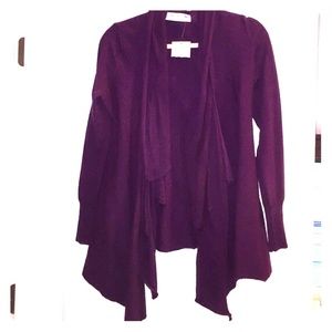 Burgundy Anthropology Sparrow sweater