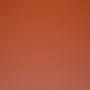 Meet your Posher, Betsy