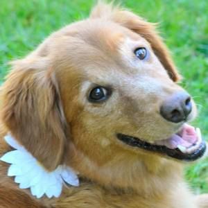 Meet your Posher, Marianne