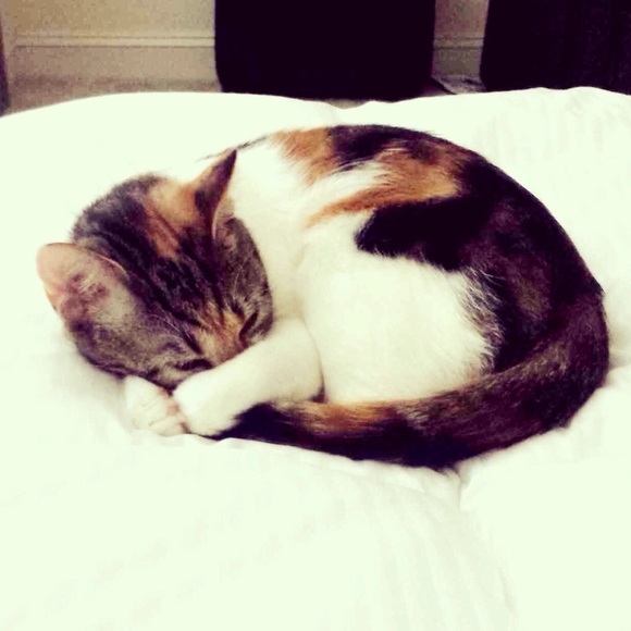 Meet Your Posher, Karen! - Picture 3 of 3