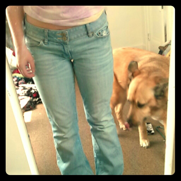 American eagle boot cut jeans