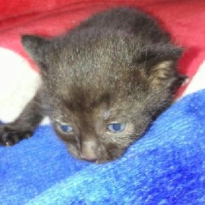 Meet your Posher, Tia