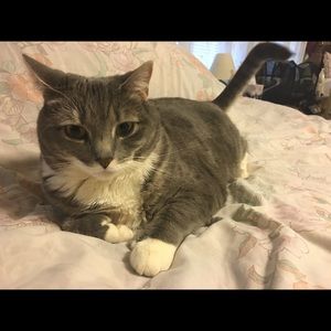 Meet your Posher, Amanda