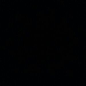 Meet your Posher, Chiquita