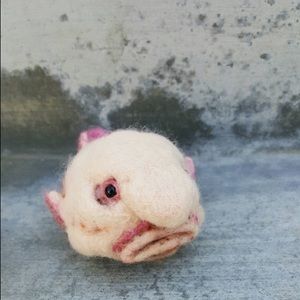 Meet your Posher, Caitlin