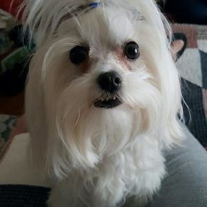 Meet your Posher, Cheryl