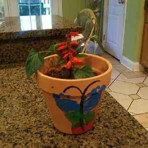 Meet your Posher, Krupali