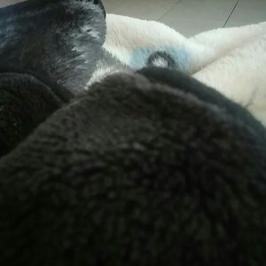 Meet your Posher, Kayaunna