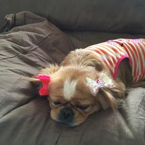 Meet your Posher, Cecilia