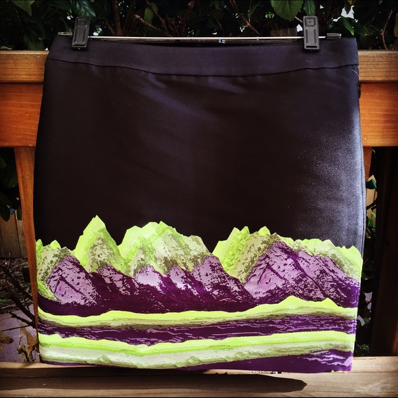 Alexander Wang mountain skirt