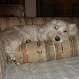 Meet your Posher, Catherine