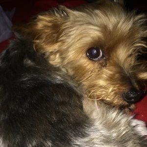 Meet your Posher, Chloe
