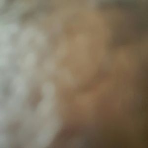 Meet your Posher, Annette