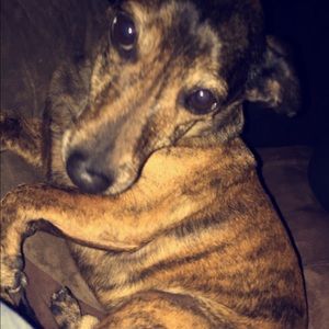 Meet your Posher, Noemi