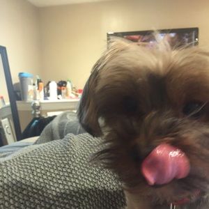 Meet your Posher, Michael