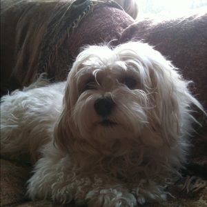 Meet your Posher, Kim