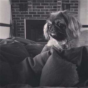 Meet your Posher, Carolyn