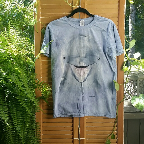🐬